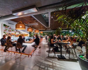 planta-south
